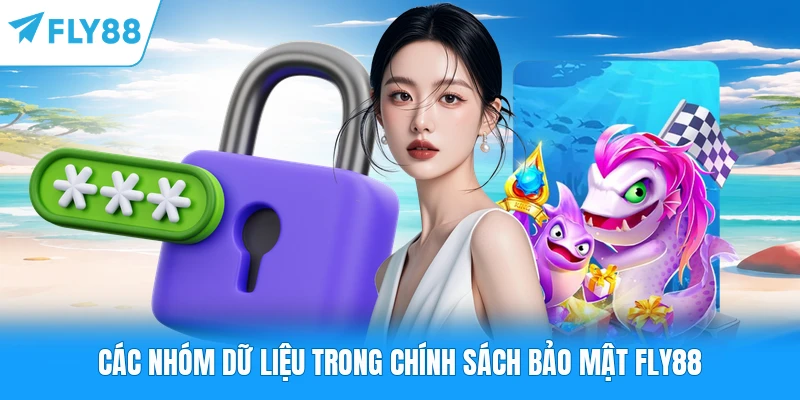 Các nhóm dữ liệu trong chính sách bảo mật FLY88