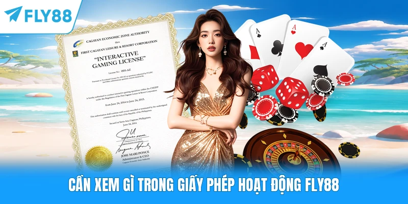 Cần xem gì trong giấy phép hoạt động FLY88