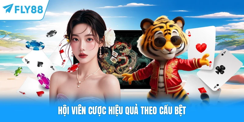 Hội viên cược hiệu quả theo cầu bệt
