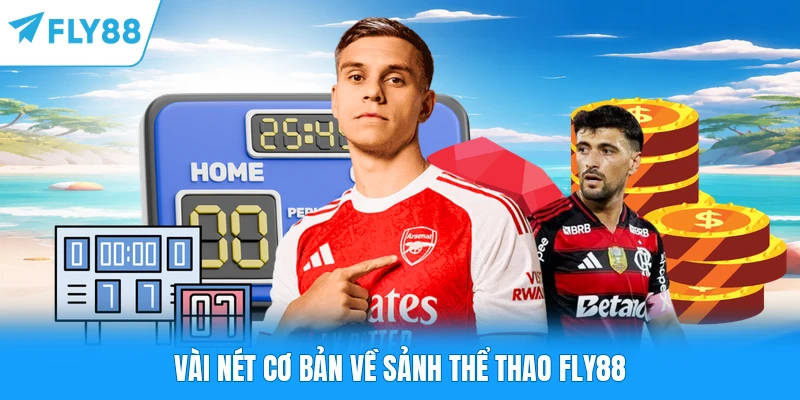 Vài nét cơ bản về sảnh thể thao FLY88
